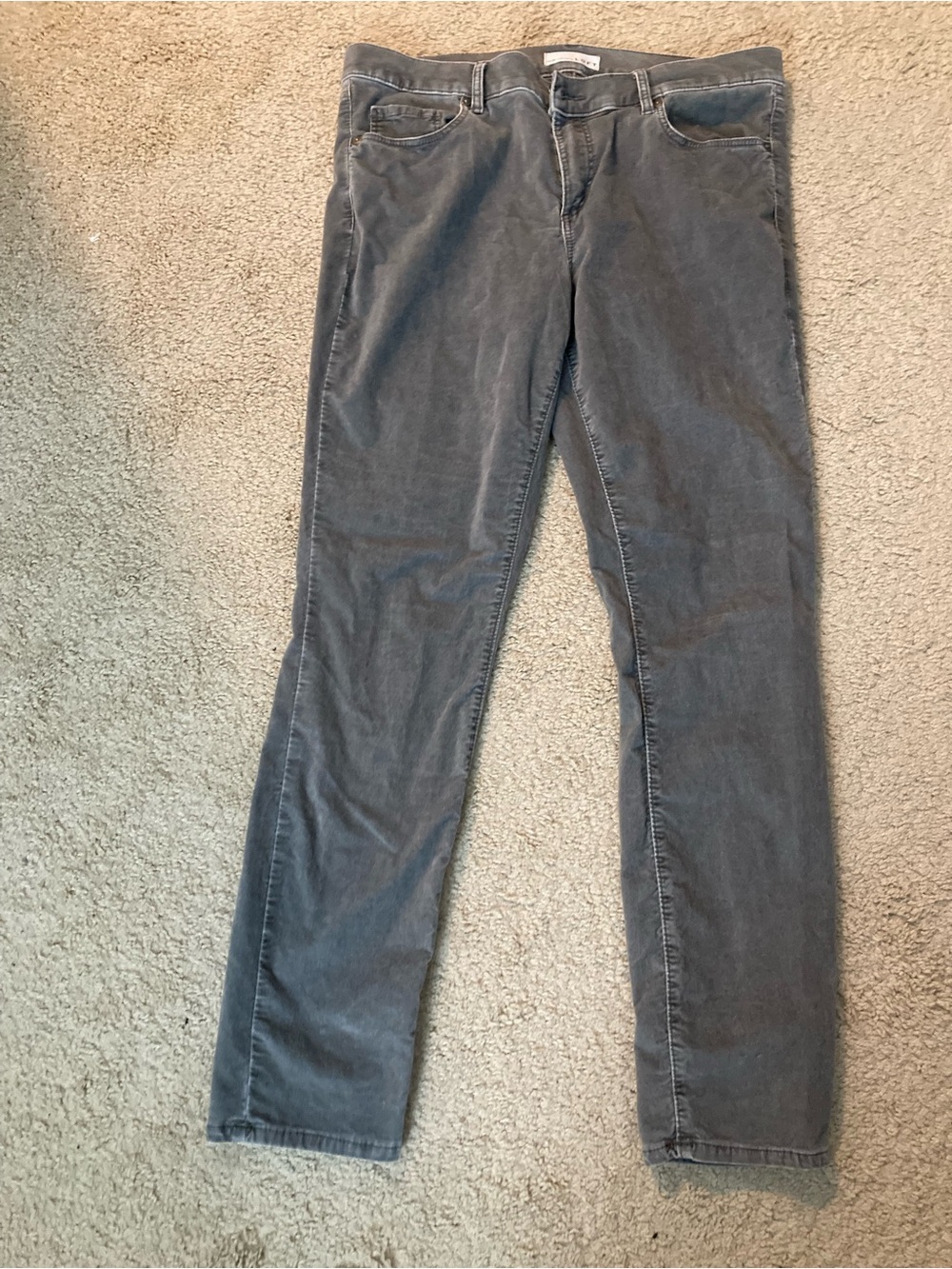 LOFt women’s Charcoal Gray Brushed Velvet Pants - Straight Leg